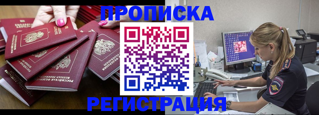 где прописаться в Дмитрове